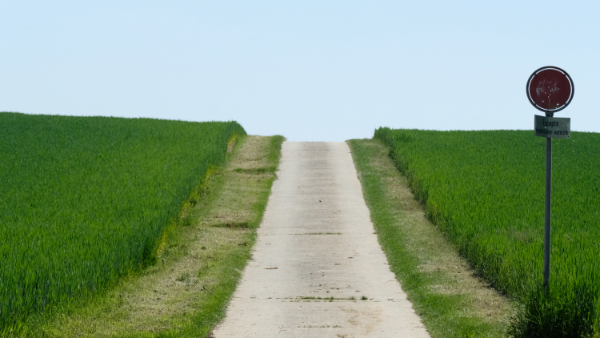 Photo d'une route de campagne avec des champs vert sur le côté