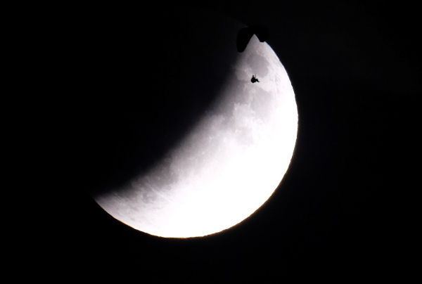 photo d'un parapente passant devant la lune